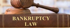 Bankruptcy - Integra Litigation Practice Group