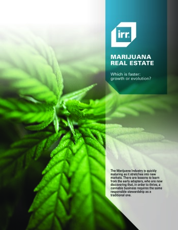 2020 Viewpoint National Marijuana Report