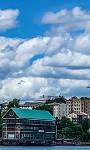 Knoxville, TN